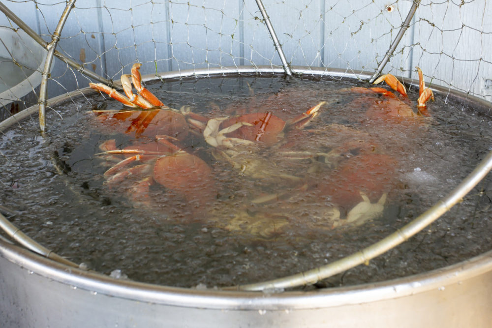 2022MarchApril fish crab2