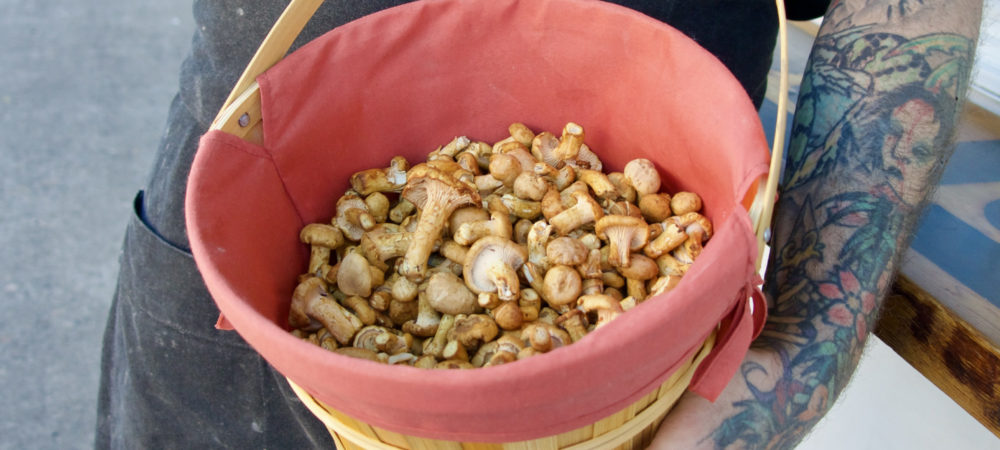 2022SeptOct web mushroom top