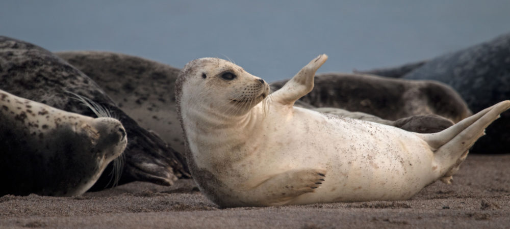 2023JanFeb web Kind top