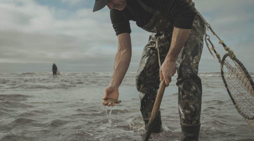 clamming coastal waters