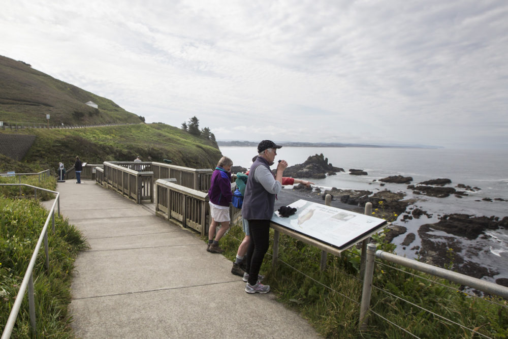 Curated visual reference: Picture Idea: Slow Mobility On The Accessible Coast