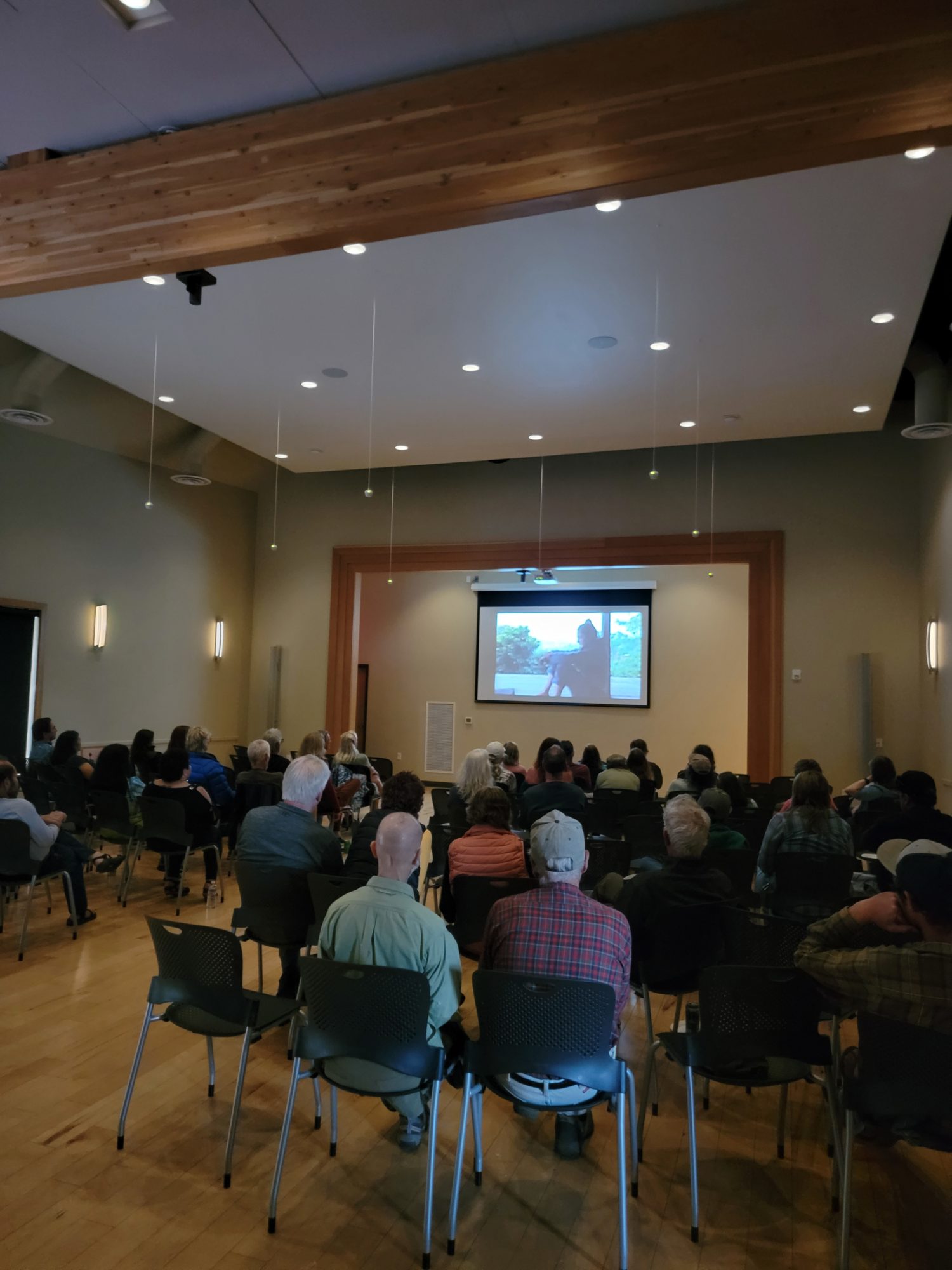 Picture of Paddling Film Festival World Tour attendees watching one of the festival films