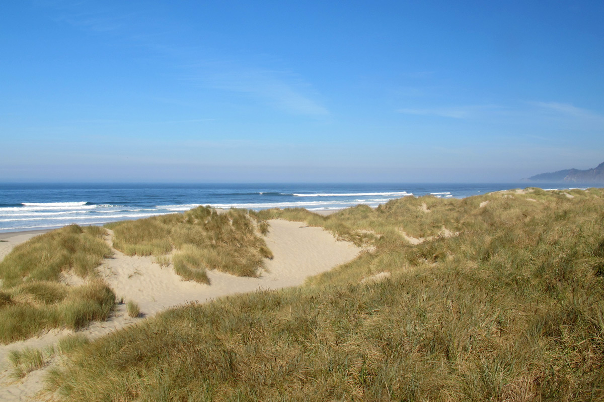 Oregon Coast Sand Dunes  Eugene, Cascades & Oregon Coast