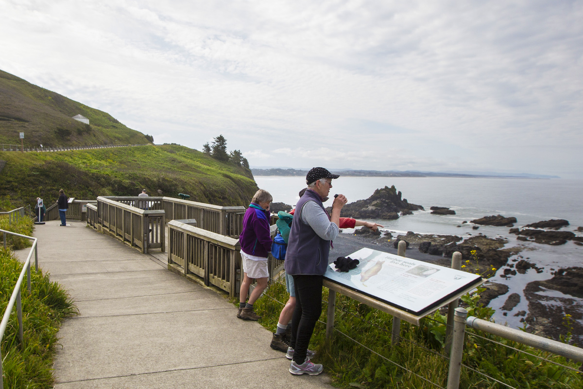 2023Sept eclipse yaquina