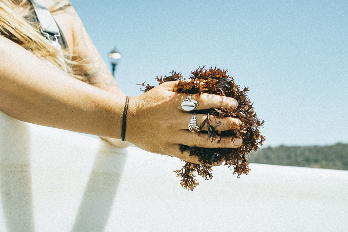 Jacobsen Salt Co. - North Coast Food Trail