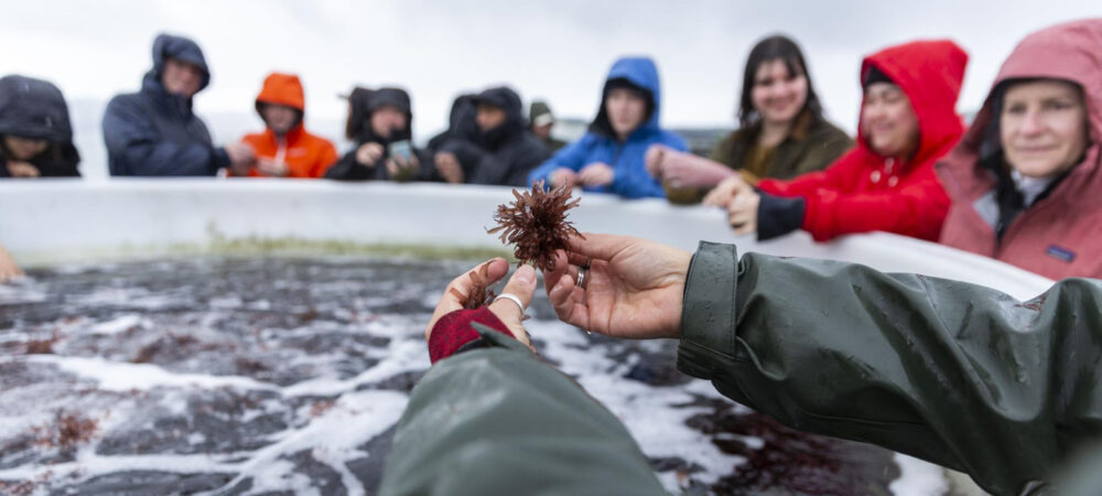 2023Nov culinary top