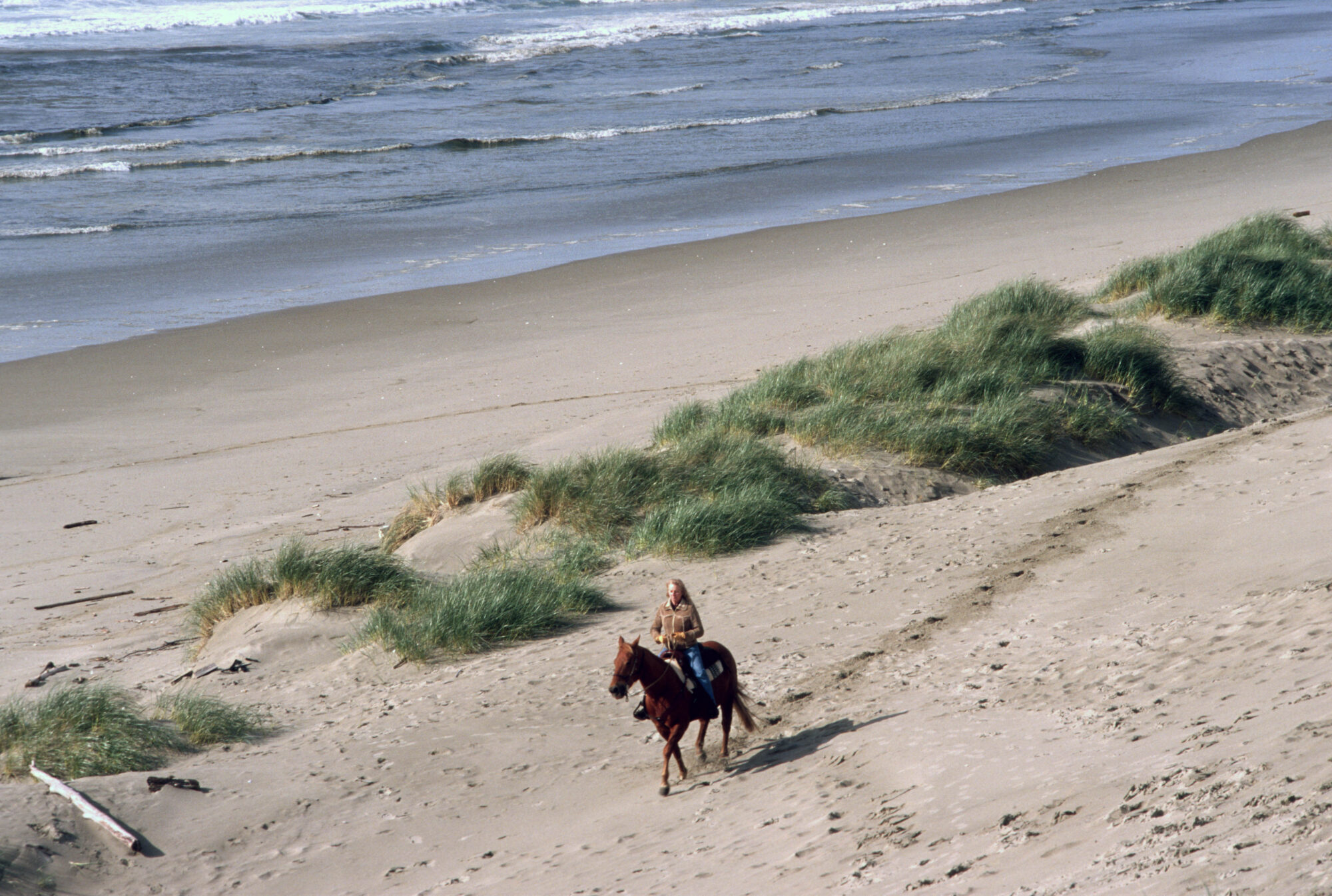Horse and rider at the Oregon Dunes National Recreation Area