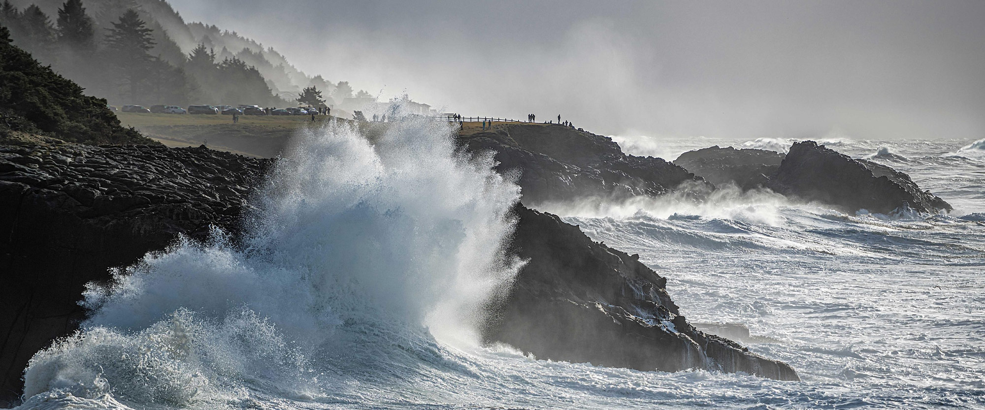 Coast Like a Local - Oregon Coast Visitors Association