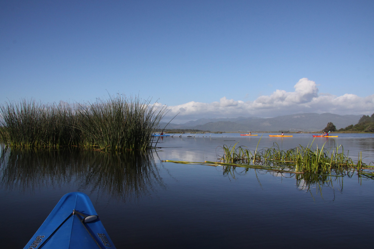 2025March paddle meares