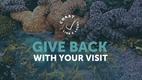 Screenshot 2025 05 20 at 11 47 51 AM