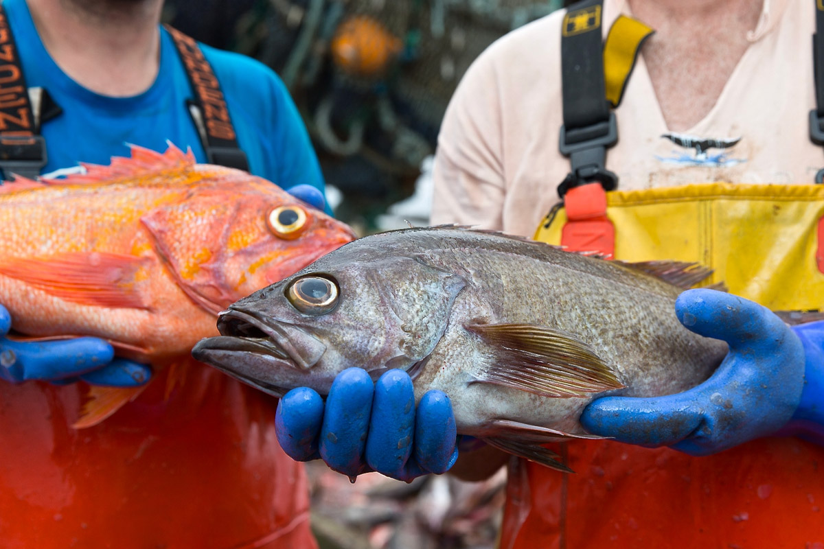 2025July fishing groundfish