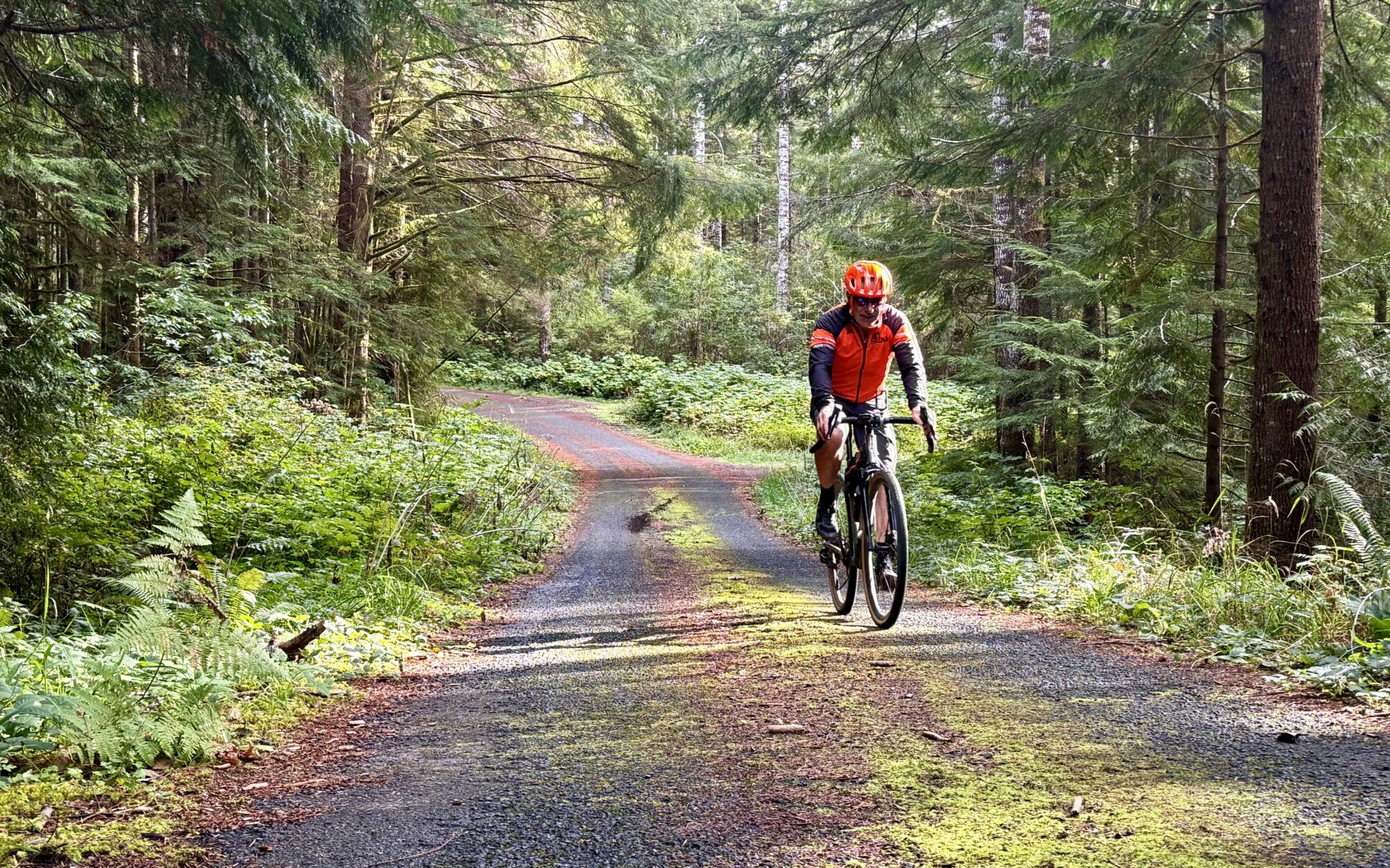 Gravel biking on the Bee Line route.