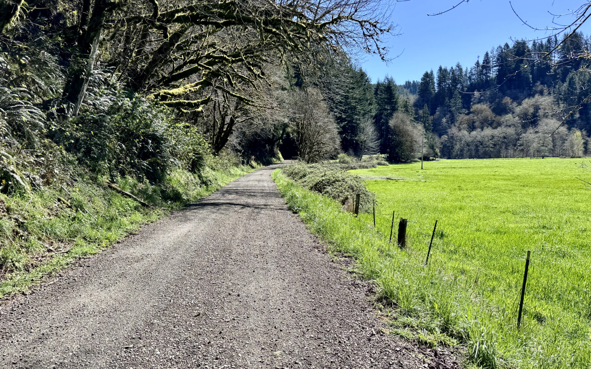 Crosscut 6