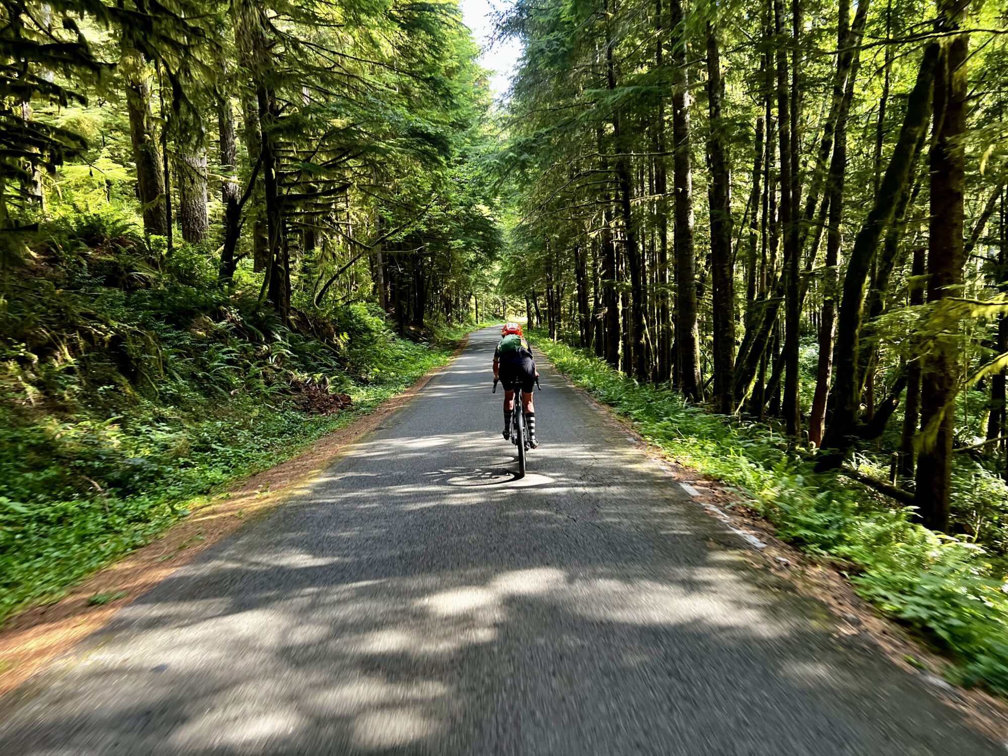 Drift Creek Falls gravel bike route. Photo by Dirty Freehub.