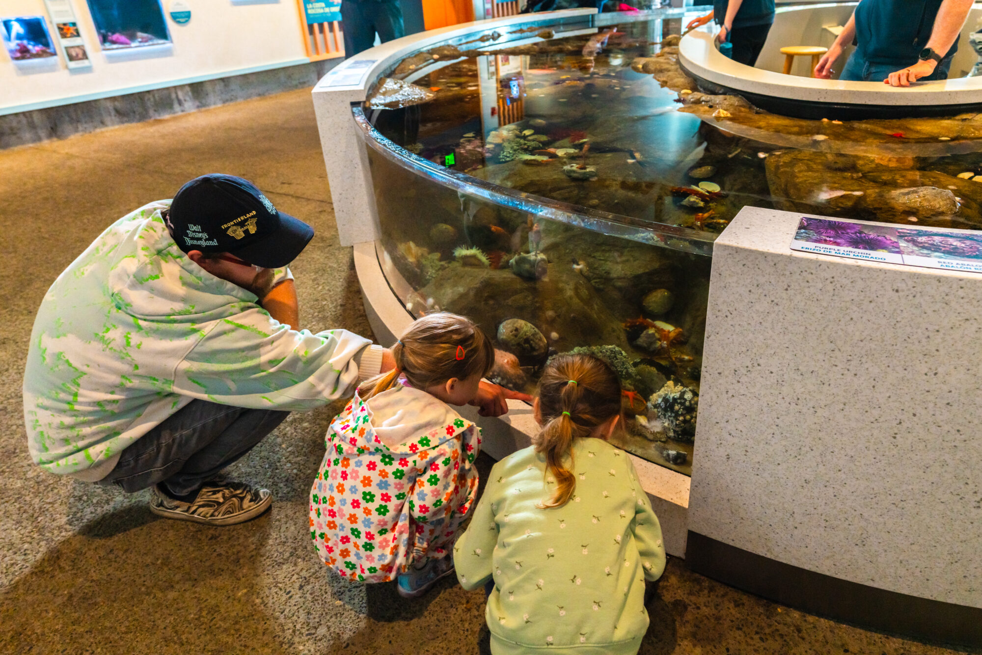 Accessible touch pool Oregon Coast aquarium