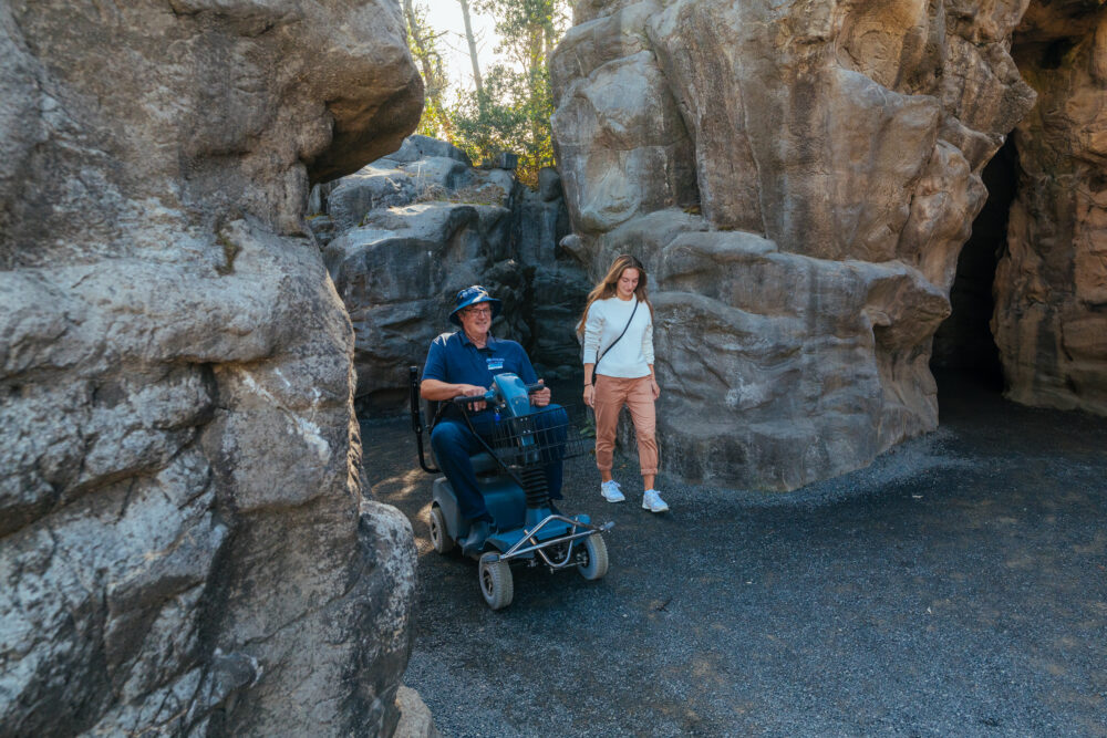 Two people, one in a motorized wheelchair, in an outdoor area