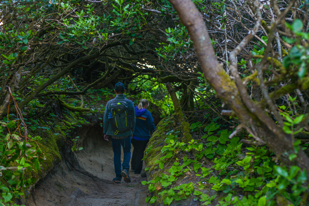 2025Sept hiking Hobbit