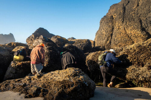 2025Nov cliffs cannon