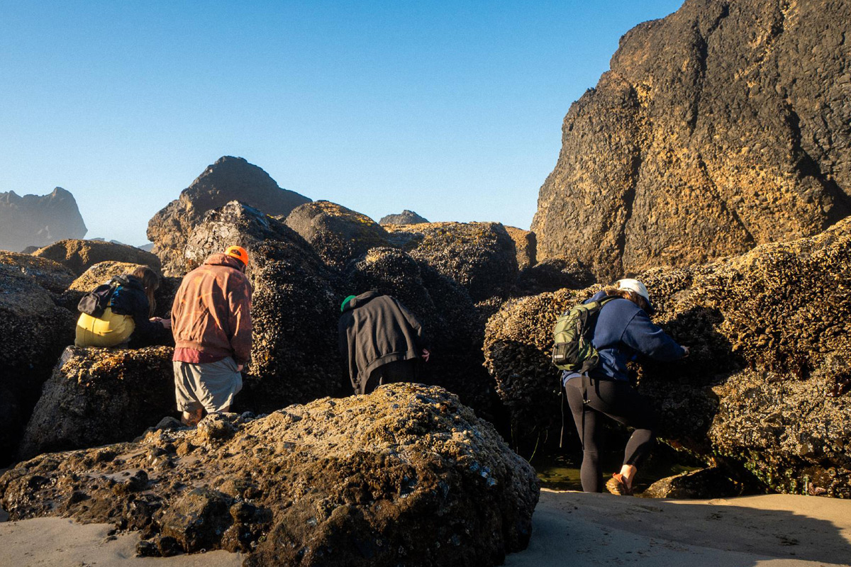 2025Nov cliffs cannon