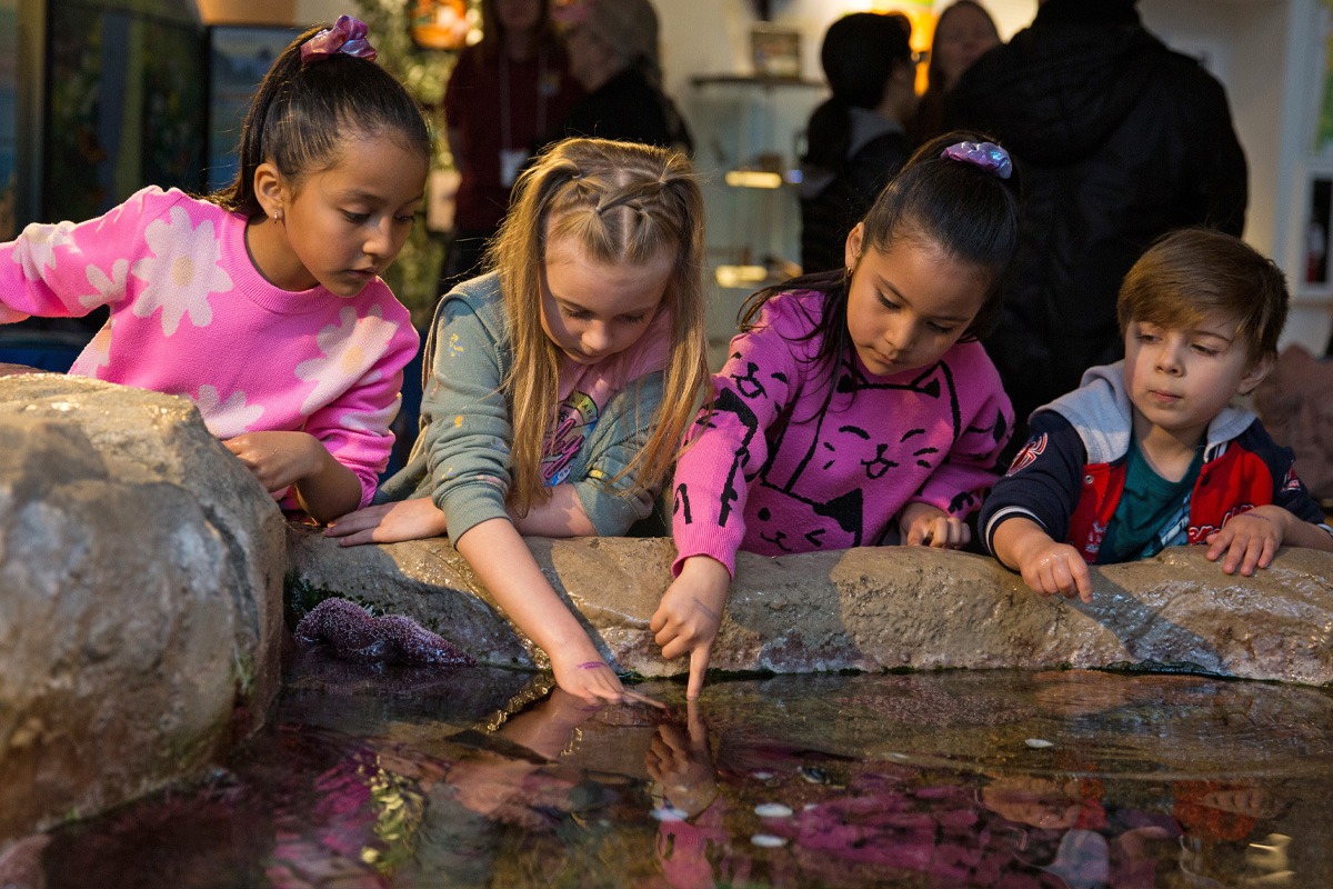 2026Jan Indoors Hatfield