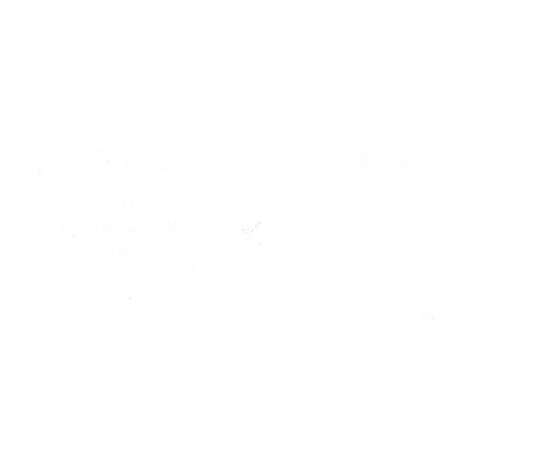 300 x 250 (300 x 250 px) (1)