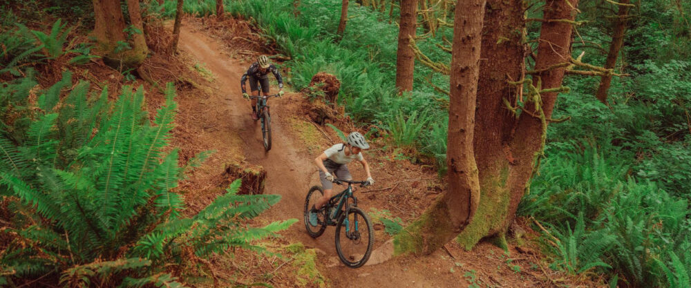 Bikers riding on a trail.