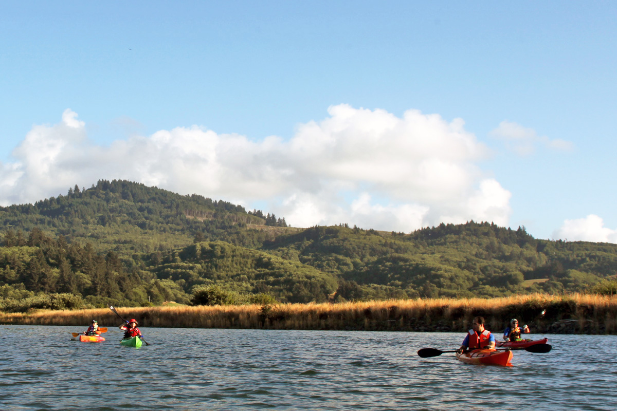 A group kayaking with hills in the background.