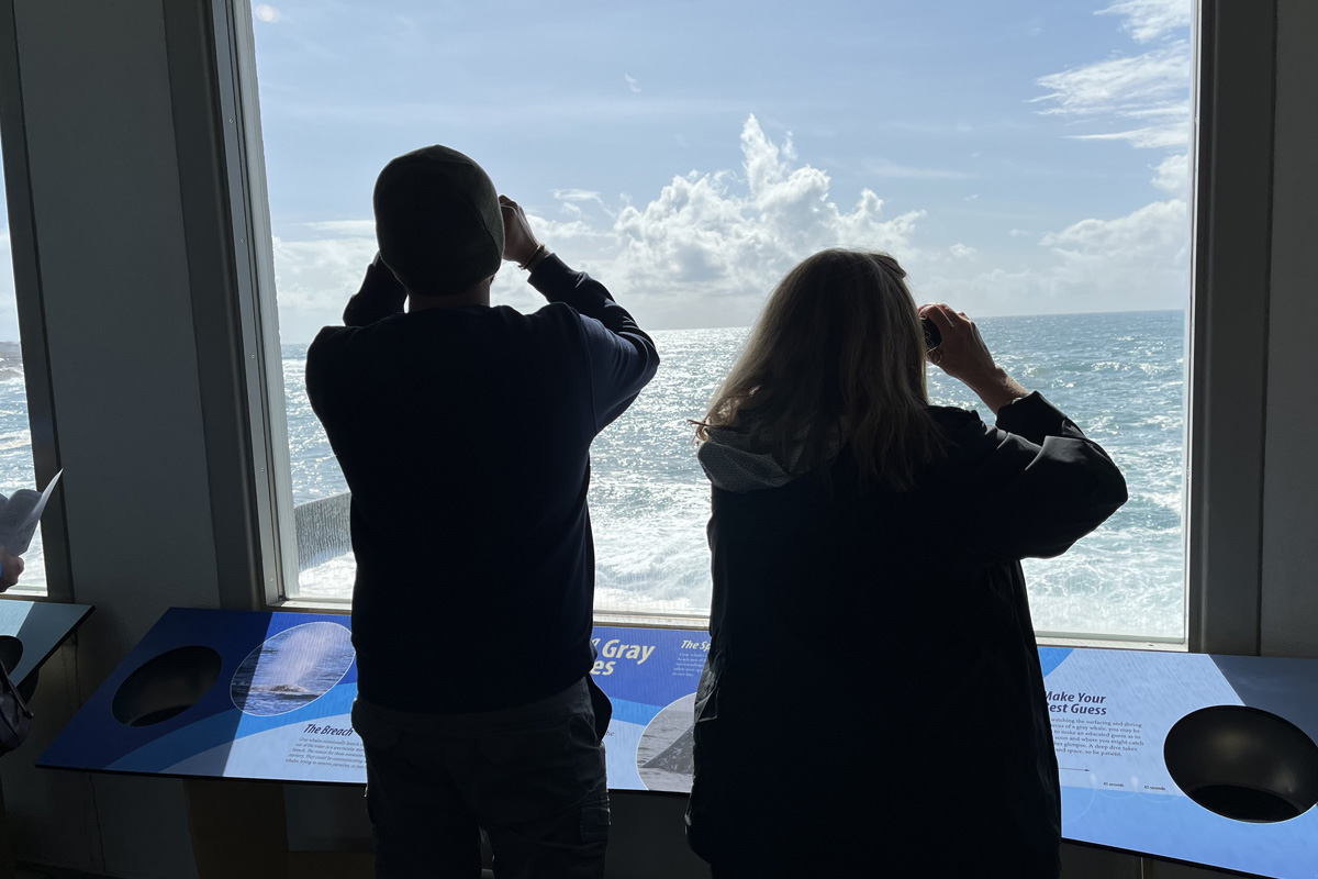People looking through large window with binoculars at the ocean.