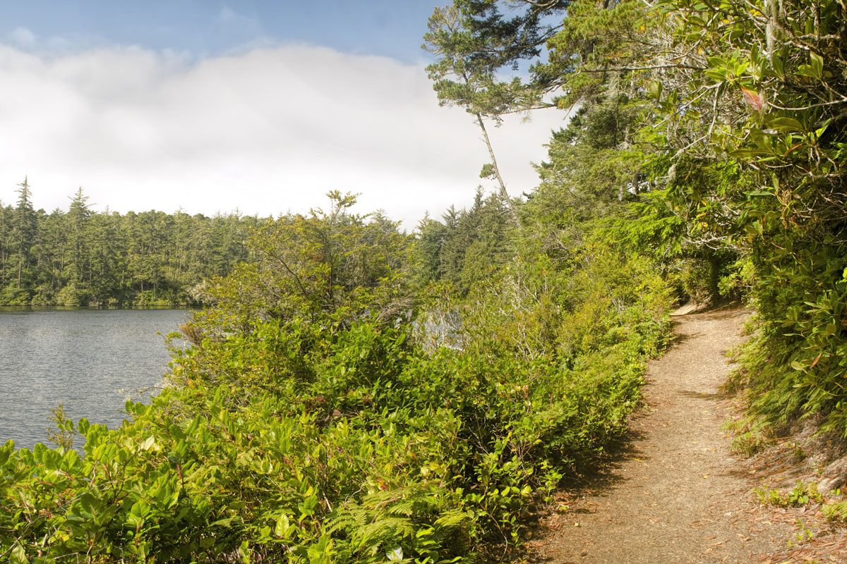 A trail next to a lake.