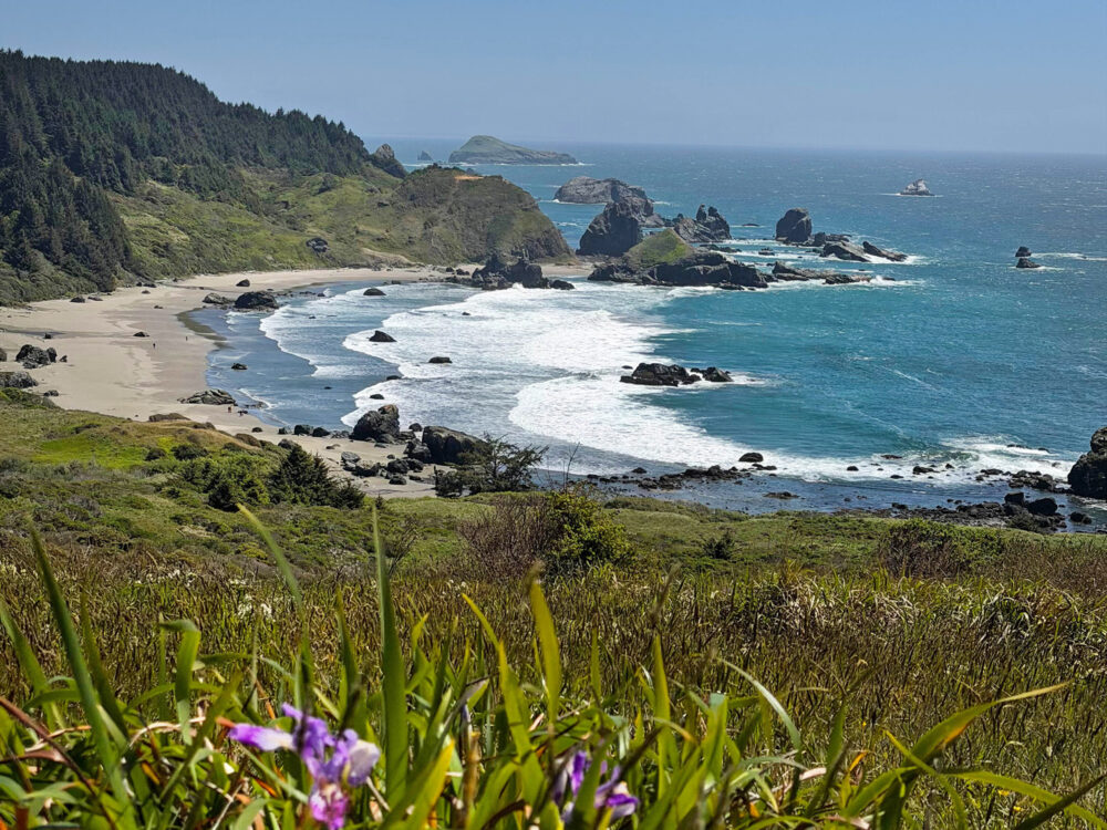 Cape Ferrelo coastline beach ocean sea stacks wildflowers