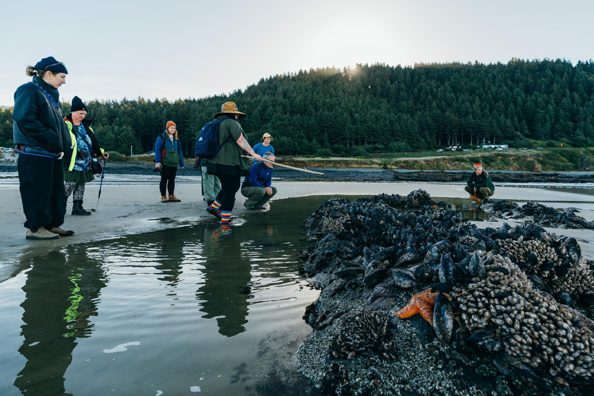A group of people looking at a tide pool.