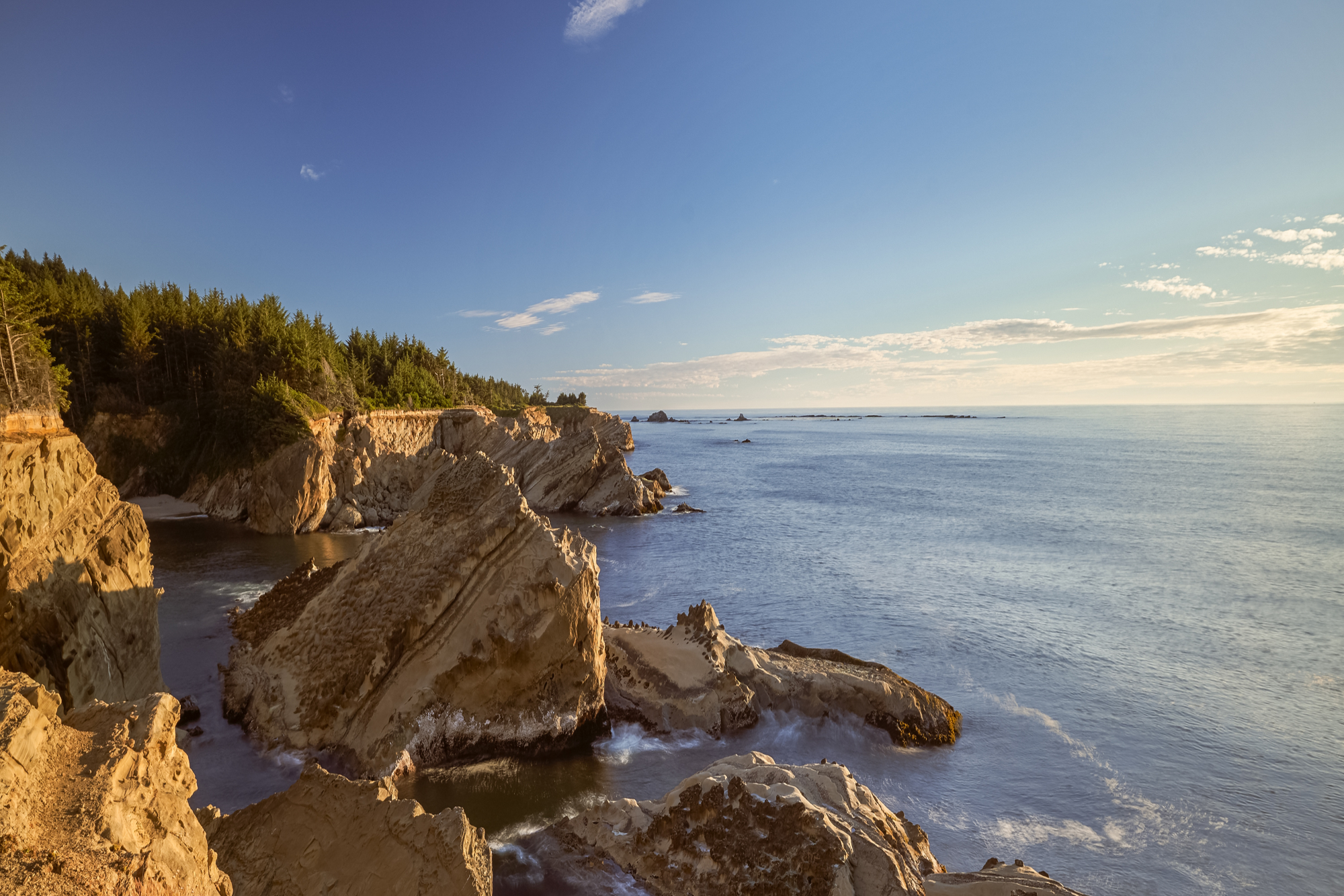 Shore Acres State Park