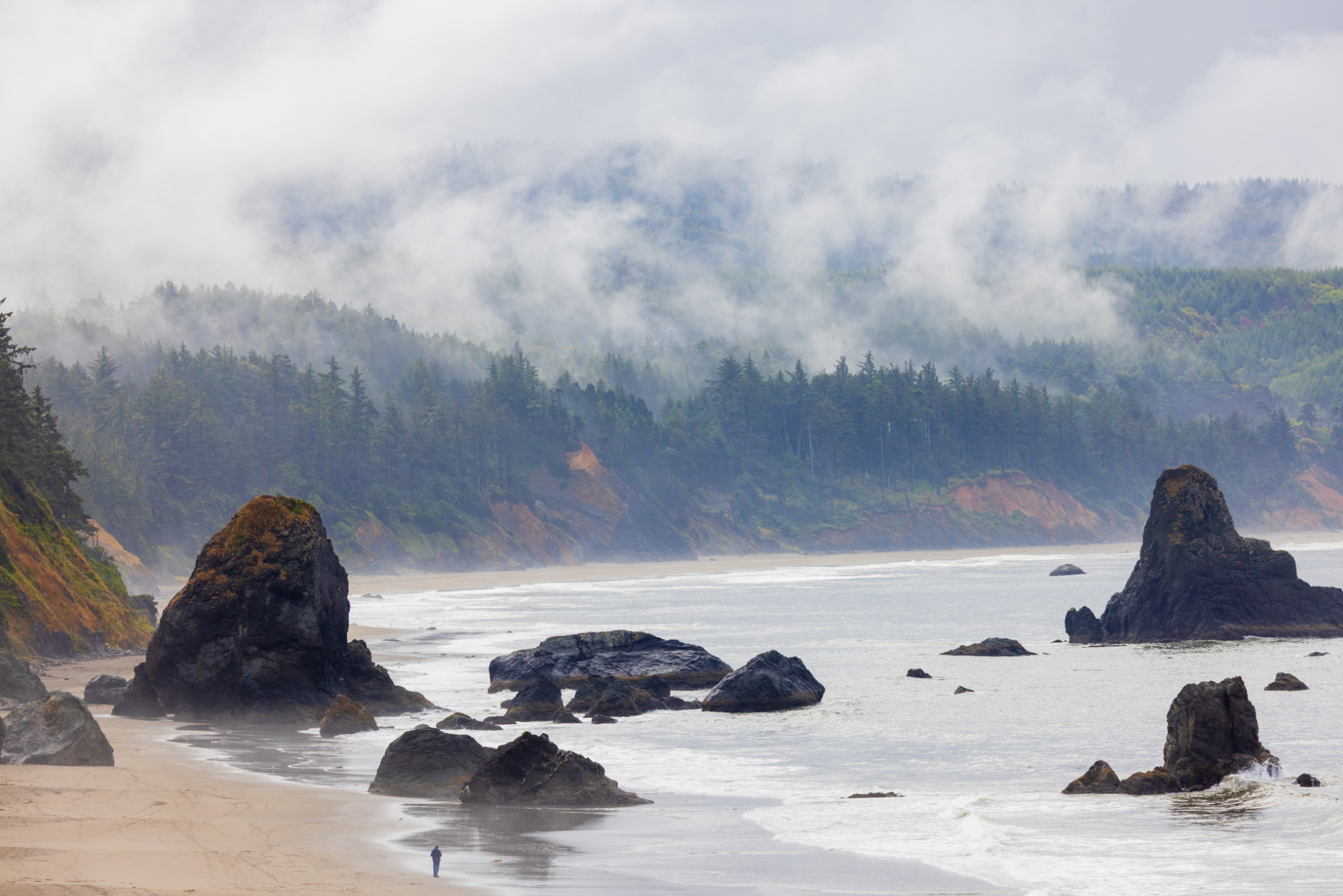 Port Orford Battle Rock Beach June 2026 Alec Sills Trausch jpg