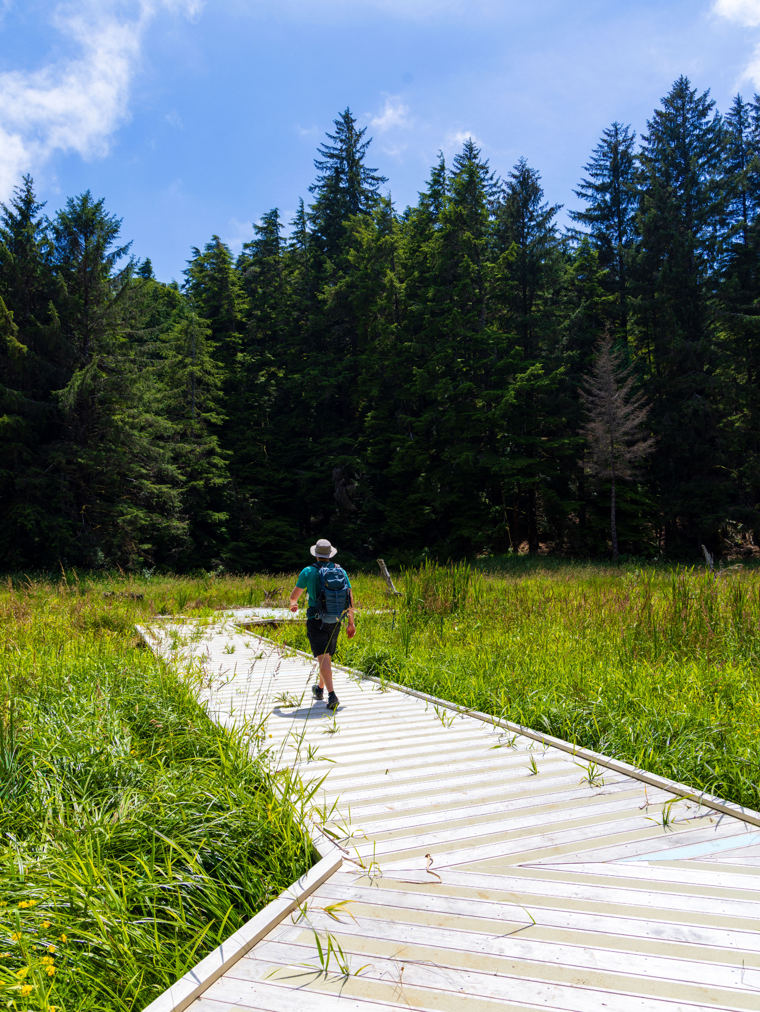 South Slough Hidden Creek Trail Boardwalk June 2026 Alec Sills Trausch